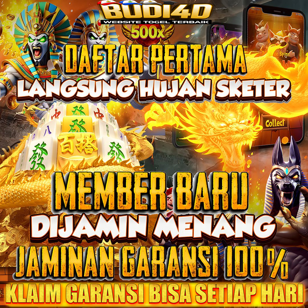 BUDI4D